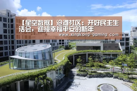 【星空数据】沧滩社区:开好民主生活会,迎接幸福平安的新年(图2) 星空游戏