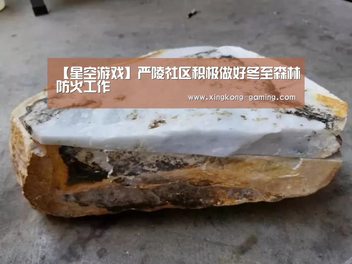 【星空游戏】严陵社区积极做好冬至森林防火工作(图2) 星空游戏