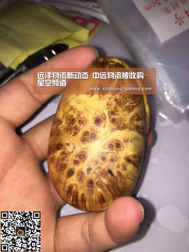 远洋物流新动态 中远物流被收购-星空频道(图1) 星空游戏