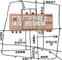 广东广宁水稻上保险 惠民耕种灾农:星空游戏(图2) 星空快讯