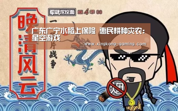广东广宁水稻上保险 惠民耕种灾农:星空游戏(图3) 星空数据