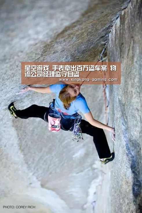 星空游戏_手表牵出百万盗车案 物流公司经理监守自盗(图1) 星空快讯