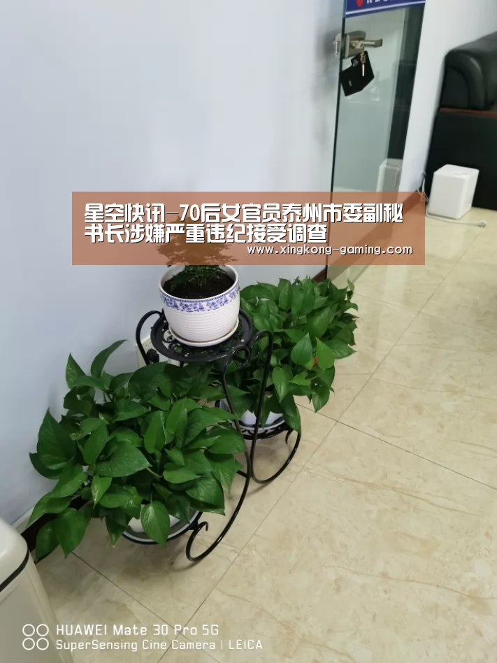星空快讯-70后女官员泰州市委副秘书长涉嫌严重违纪接受调查(图1) 星空数据
