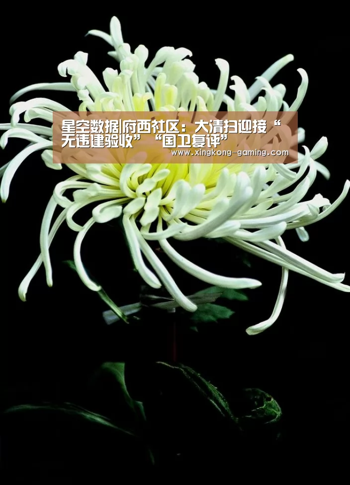 星空数据|府西社区:大清扫迎接“无违建验收”“国卫复评”(图1) 星空频道