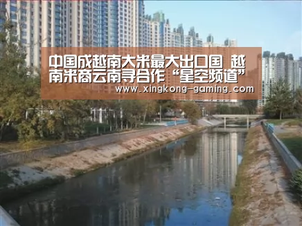 中国成越南大米最大出口国 越南米商云南寻合作“星空频道”(图1) 星空游戏