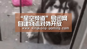 星空游戏