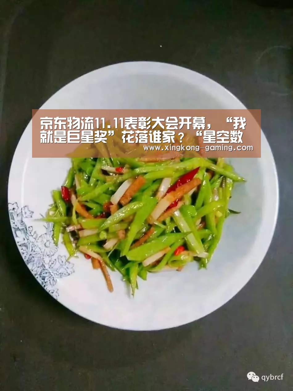 京东物流11.11表彰大会开幕,“我就是巨星奖”花落谁家?“星空数据”(图4) 星空快讯