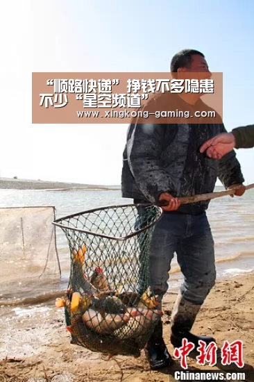 “顺路快递”挣钱不多隐患不少“星空频道”(图3) 星空游戏